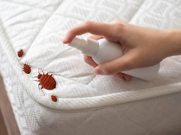 Best Indoor Pest Control  in Armada, MI